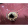 Thai Nan Coffee: Authentic Arabica Beans, Roasted to Perfection