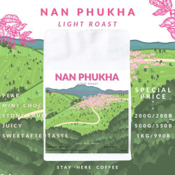 Doi Phu Kha Washed Coffee Beans - Thailand
