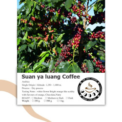 Autentiske thailandske Doi Suan Ya Luang-kaffebønner