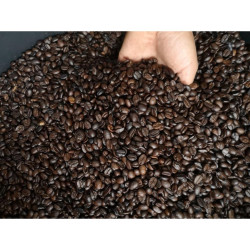 Authentic Thai Doi Suan Ya Luang Coffee Beans