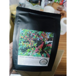 Authentic Thai Doi Suan Ya Luang Coffee Beans