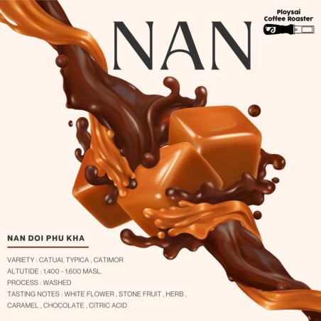 Taste Exotic Thai Coffee: Nan Beans from Doi Phu Kha