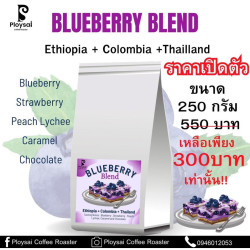 Taste Exotic Thai Coffee: Nan Beans from Doi Phu Kha