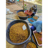 Exceptional Thailand Coffee: Doi Phu Kha Yellow Bourbon Beans