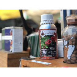 Bästa thailändska kaffebönor: Nan Roastery & Dark Roast