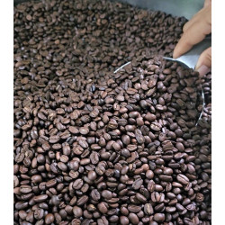 Authentic Thai Coffee: Discover Nan Strong Roast (Quarobusta)