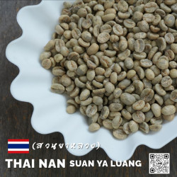 Authentic Thai Coffee Beans: Nan Suan Ya Luang, Nan Province