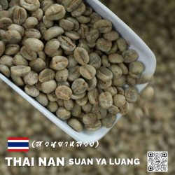 Authentic Thai Coffee Beans: Nan Suan Ya Luang, Nan Province
