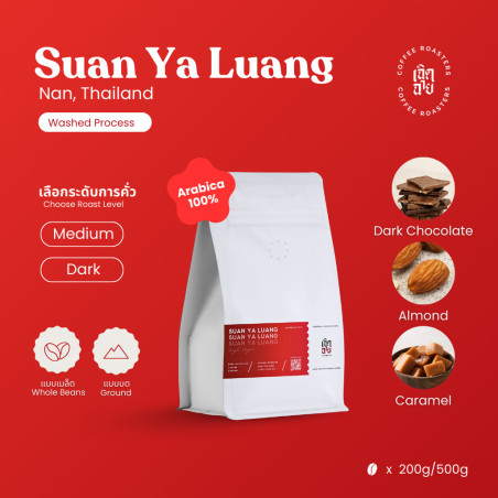 Café en grains thaïlandais : Suan Ya Luang Arabica lavé (Cherdchai)