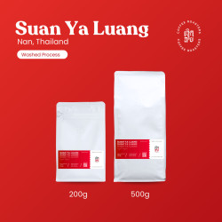 Café en grains thaïlandais : Suan Ya Luang Arabica lavé (Cherdchai)