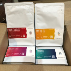 Café en grains thaïlandais : Suan Ya Luang Arabica lavé (Cherdchai)