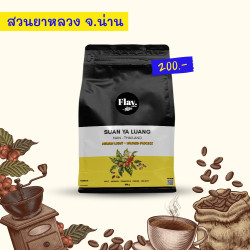 Discover Exquisite Suan Ya Luang Coffee from Thailand