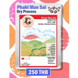 Thai Coffee Beans: Light Roast Ban Pha Hee from Chiang Rai
