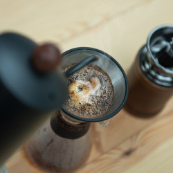 Les meilleurs grains de café bio de Thaïlande, provenant de Ban Sapan et Sam Liam.