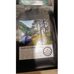 Taste Thailand's Finest: Award-Winning Nan Specialty Coffee