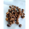 Thailand's Finest Robusta Coffee Beans: Award-Winning Taste