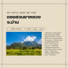 Thai Coffee Beans - Premium Arabica from Nan Doi Suan Ya Luang