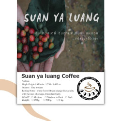 Taste Authentic Thai Coffee: Suan Ya Luang Arabica from Thailand
