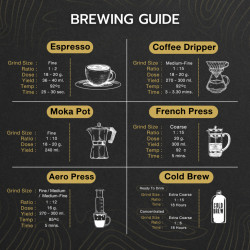Taste Authentic Thailand Baramio Coffee Beans - Chiang Mai Arabica