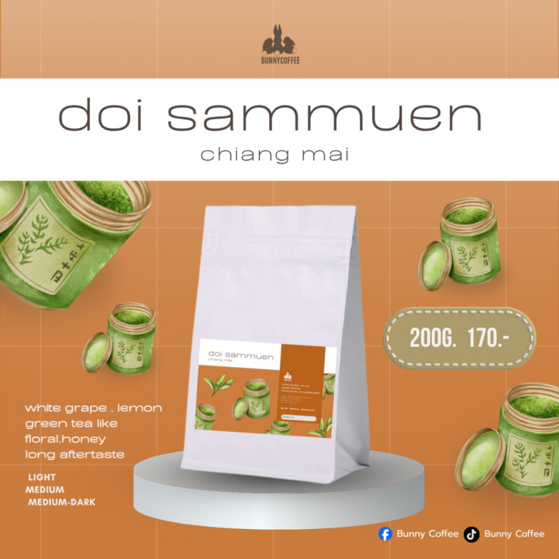 Delicious Doi Sam Muen Coffee from Thailand | Bunny Coffee