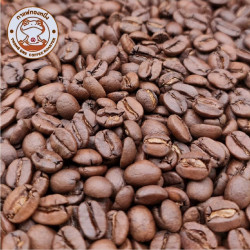Golden One Coffee: Best Beans from Chiang Mai, Thailand