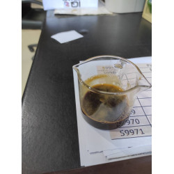 Golden One Coffee: Best Beans from Chiang Mai, Thailand