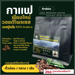 Premium Doi Pu Muen Coffee Beans from Thailand