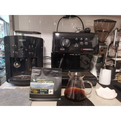 Premium Doi Pu Muen Coffee Beans from Thailand