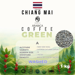Premium Thai Coffee Beans from Doi Saket, Chiang Mai