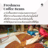 Premium Thai Coffee Beans from Doi Saket, Chiang Mai