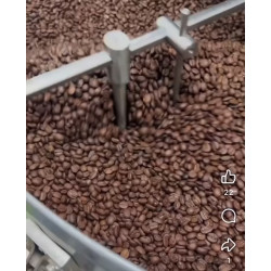 Authentic Thai Coffee Beans from Mae Kampong