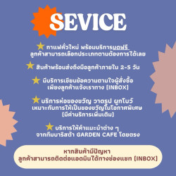 Taste Thailand's Finest Coffee Beans: Chiang Mai, Omkoi & Ban So Ae