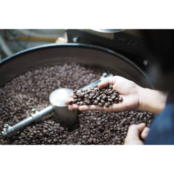 Poss Coffee: Authentic Doi Chang Coffee Beans Thailand
