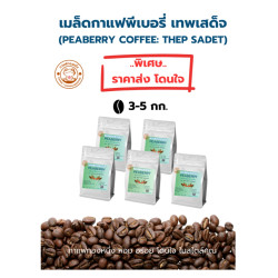 Thai Peaberry Coffee Beans - Chiang Mai Roast