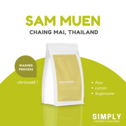 Discover Authentic Thai Doi Sam Muen Coffee