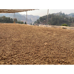 Thai Doi Mae Chan Medium Roast Coffee Beans (250g)