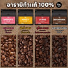 Authentic Thai Coffee: Discover Chiang Mai's Finest Beans