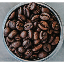 Authentic Thai Coffee: Discover Chiang Mai's Finest Beans