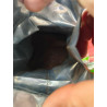 치앙마이 커피: 태국산 프리미엄 다크 로스트