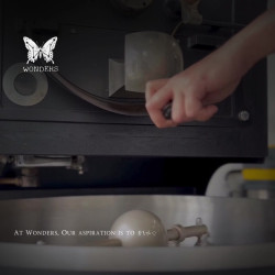 Discover Exquisite Thai Coffee Beans from Omkoi | Wonders Roaster