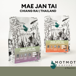 Discover Mae Jan Tai Coffee from Chiang Rai, Thailand