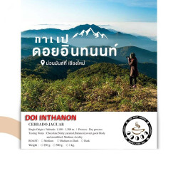 Experience Authentic Thailand Doi Inthanon Coffee
