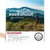 Experience Authentic Thailand Doi Inthanon Coffee