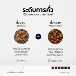Experience Authentic Thailand Doi Inthanon Coffee