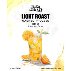 Best Thai Arabica Coffee Beans Roasted in Mae Chan