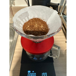 Best Thai Arabica Coffee Beans Roasted in Mae Chan