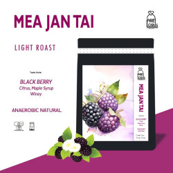 Thailand's Finest: Mae Chan Tai Light Roast Coffee Beans