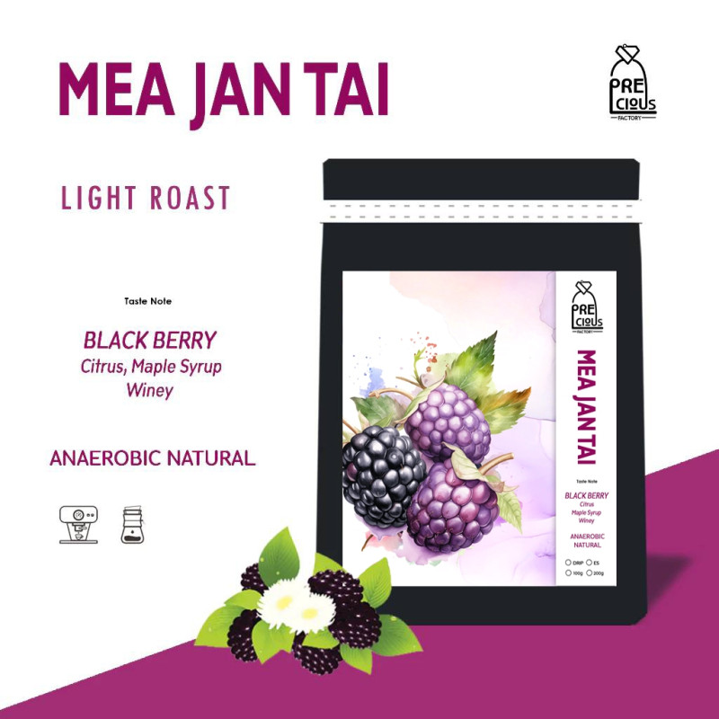 Thailand's Finest: Mae Chan Tai Light Roast Coffee Beans