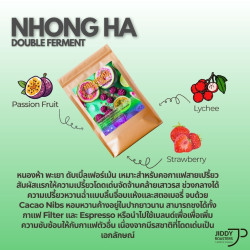 Thaise specialiteitenkoffie: Nong Ha, Phayao Single Origin