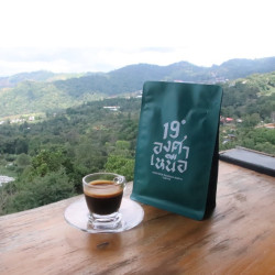 Phayao Coffee Beans: Authentic Thai Arabica (100%)